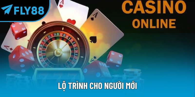 Lộ trình cho người mới