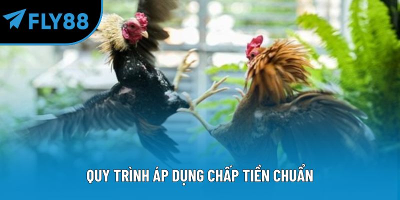 Quy trình áp dụng chấp tiền chuẩn