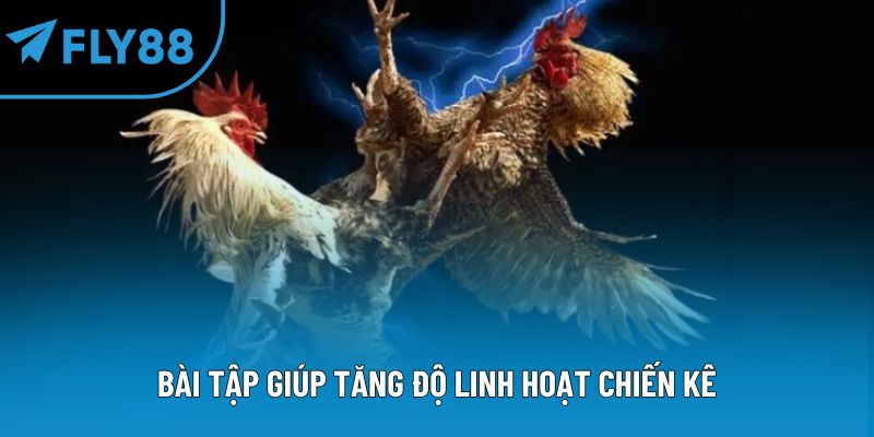 Bài tập giúp tăng độ linh hoạt chiến kê